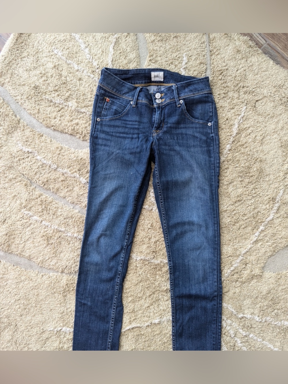 Hudson Jeans Women's Skinny in Dark Indigo